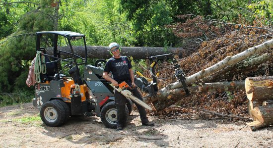 Giant 254t Groundskeeper Loader Branch Manager Attachments